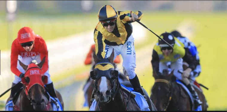 Placing The Winning Bet With Horse Racing Tips Sydney