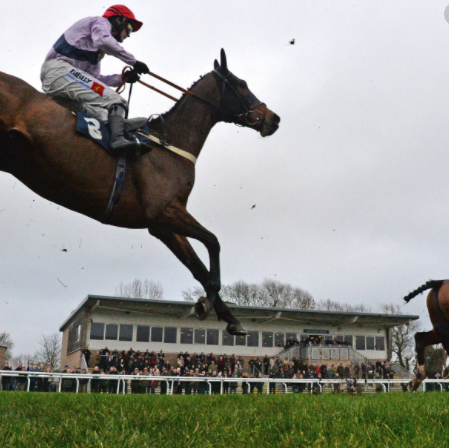 best horse racing tips Sydney