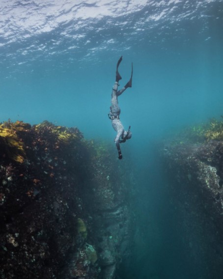 Freediving Course Australia – Largest Growing Sport Of The Era