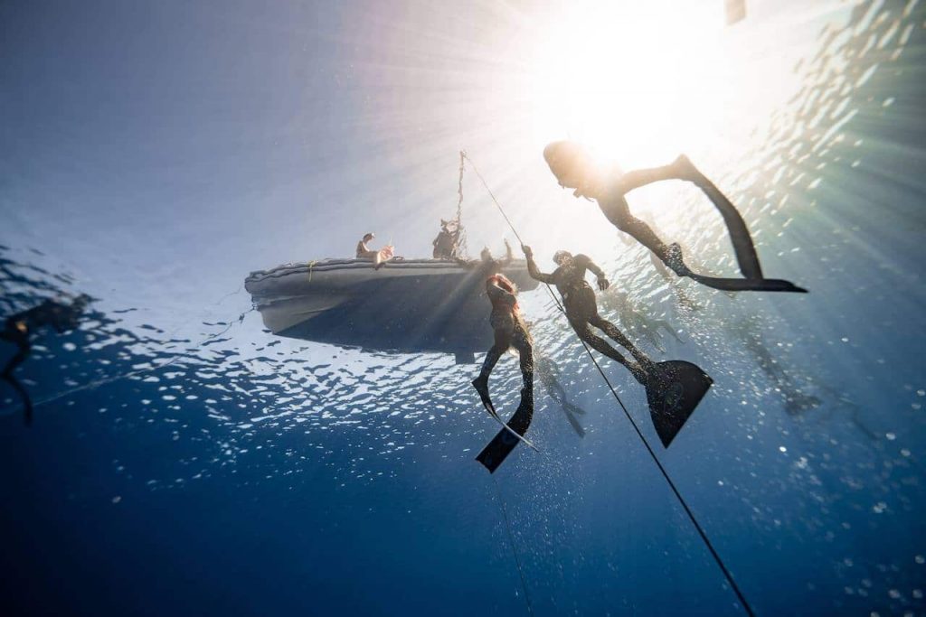 Freedive Trips