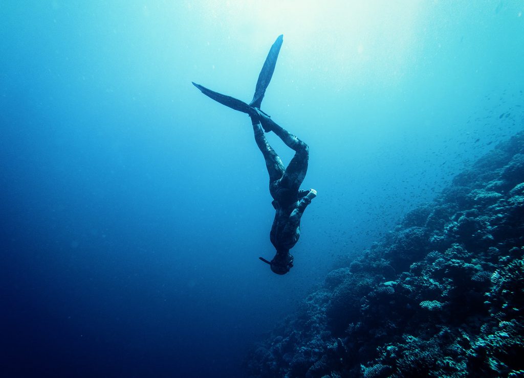 Freedive Trips