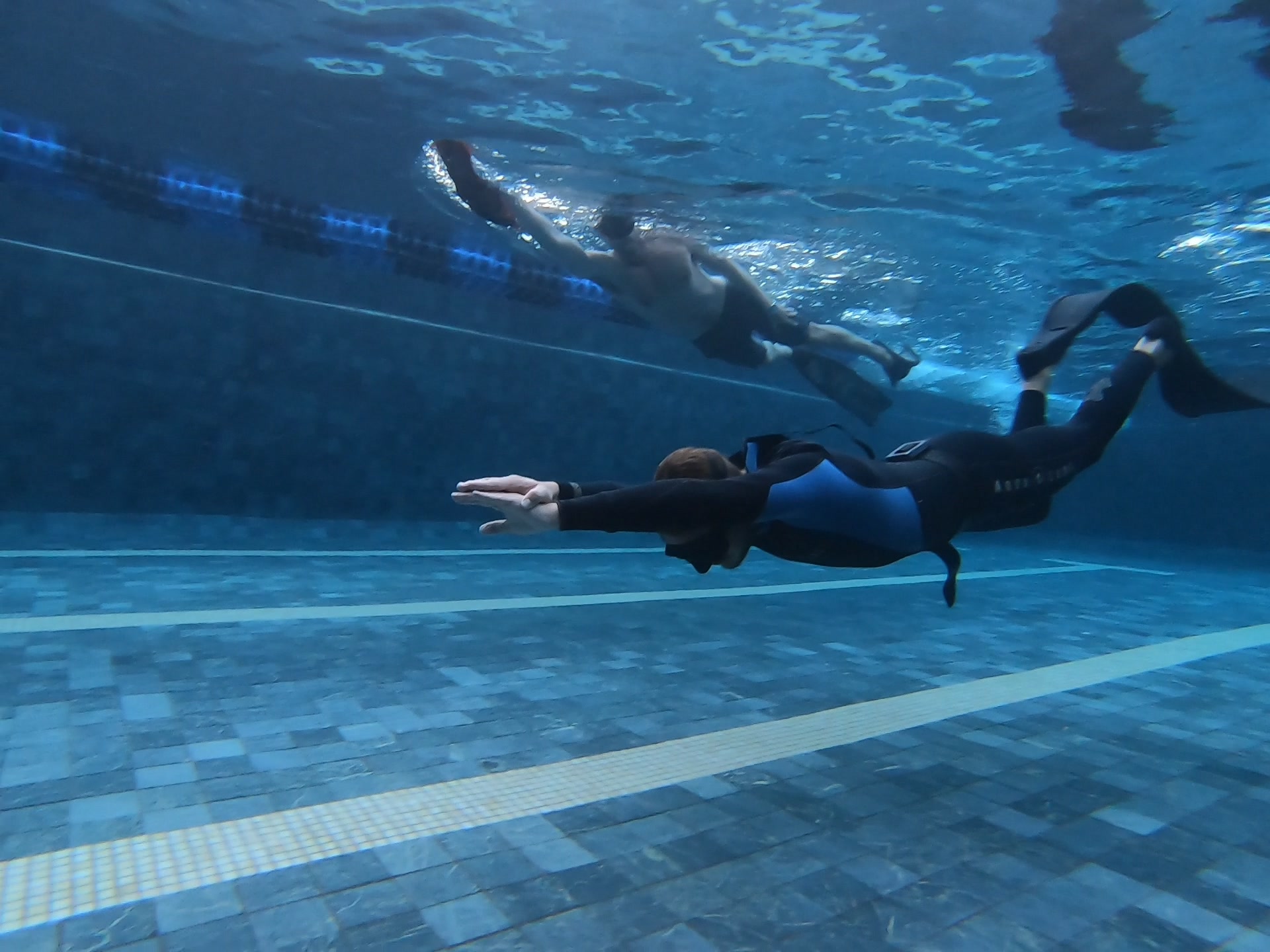 Freedive Trips – Perilous Way Of Enjoying Your Trip