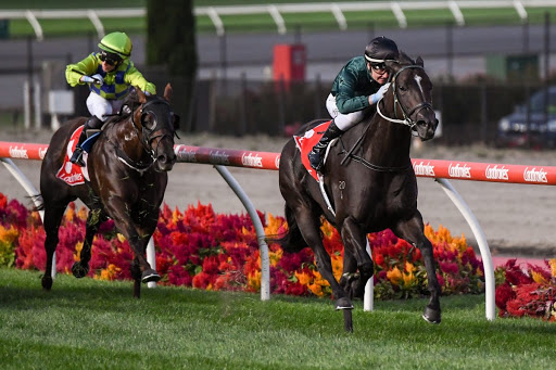 Professional Horse Racing Tips