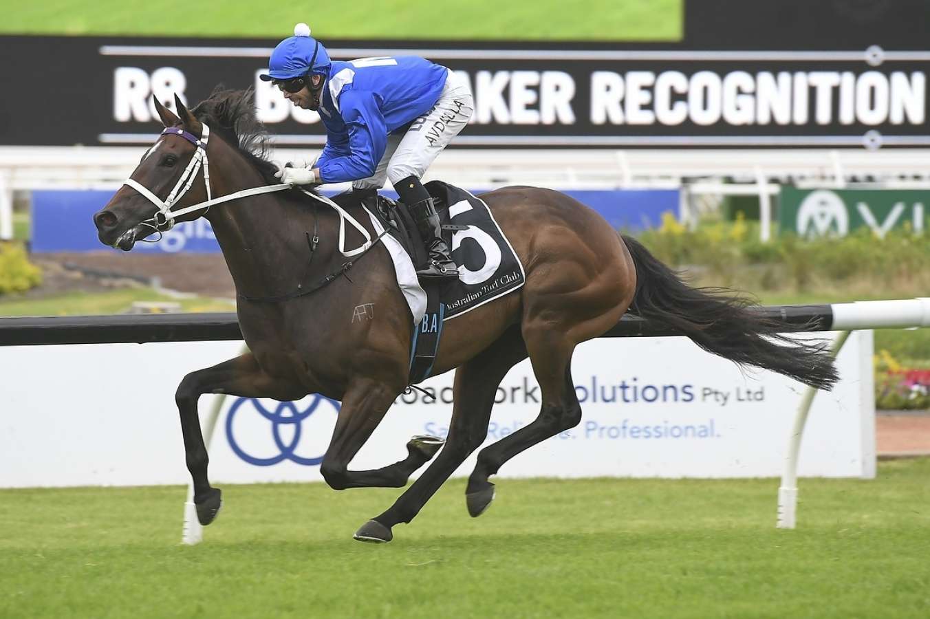 Professional Horse Racing Tips To Win The Bets