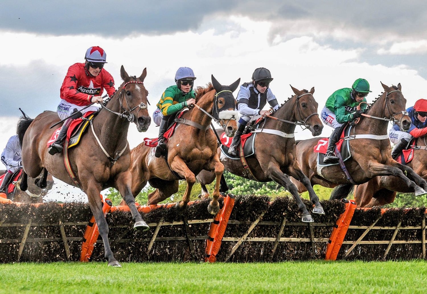 Horse Racing Tips For Today