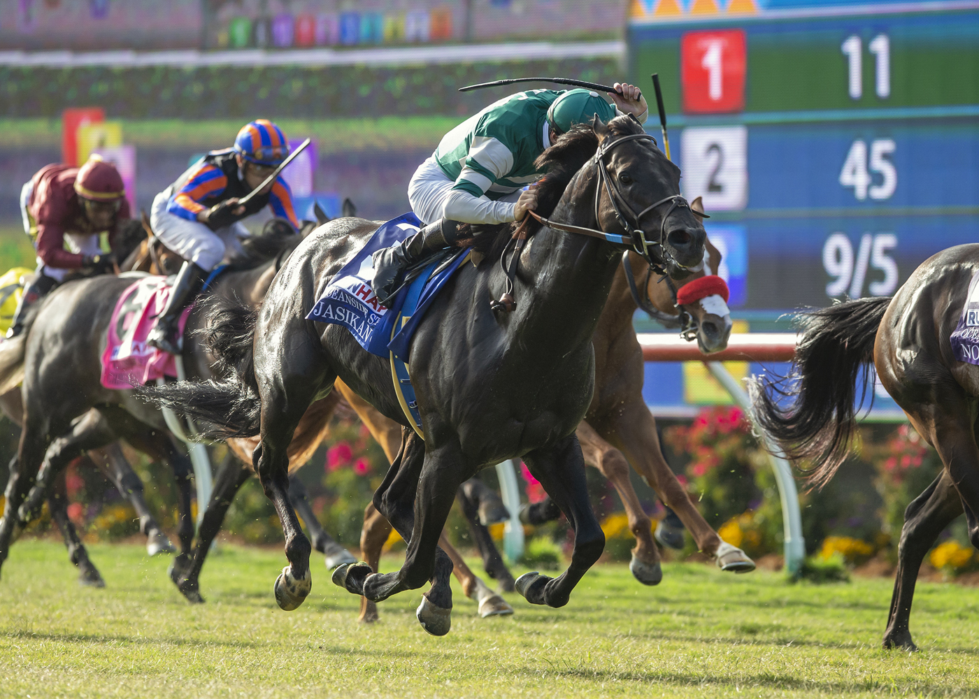 Horse Racing Tips For Today