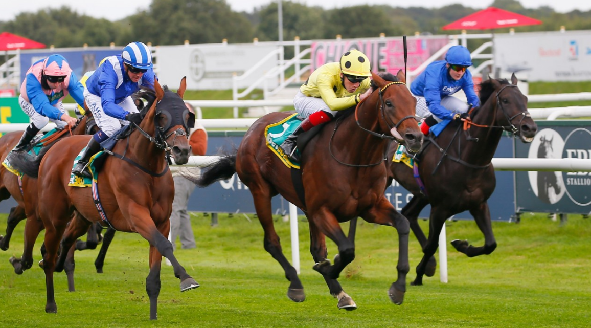 3 Extraordinary Reasons To Try Horseback Riding – Horse Racing Betting Tips