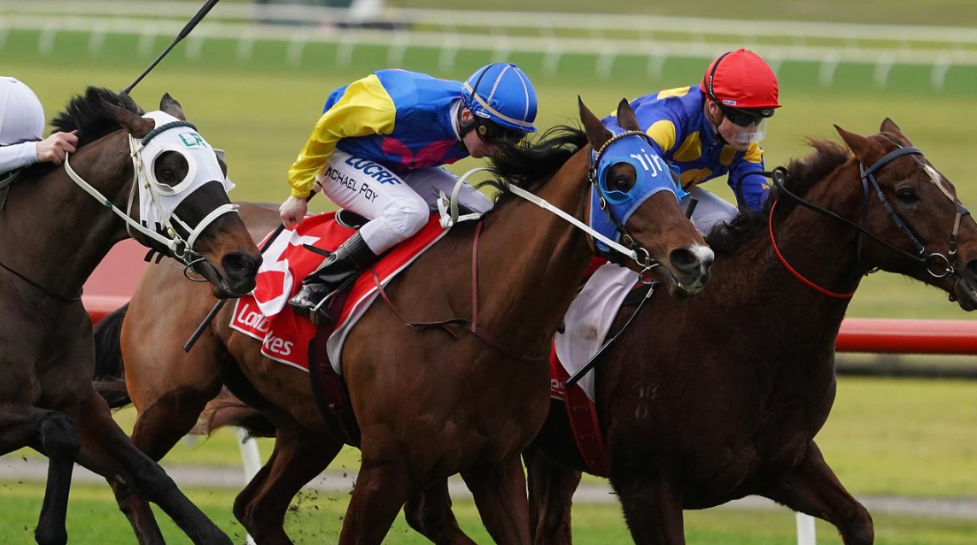 Horse Racing Betting Tips For Beginners