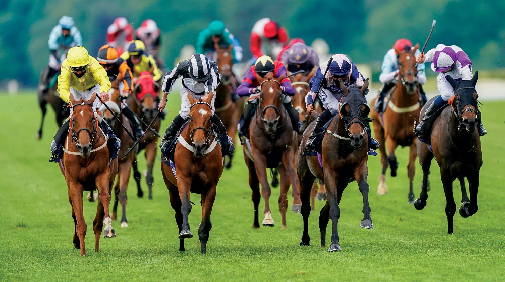 horse racing betting tips