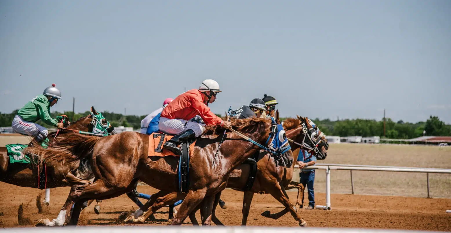 Winning Horse Racing Tips In Sydney: Analyzing The Metrics