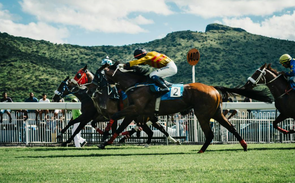 How Horseracing Tips Keep You Ahead of the Game
